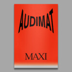 Audimat Maxi