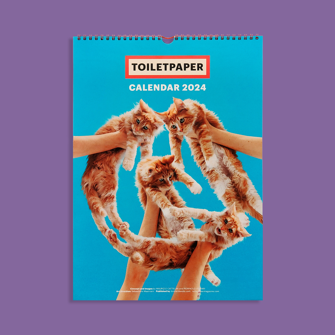 Toiletpaper Calendar 2024 Librairie sans titre
